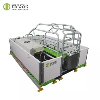 Enhancing Animal Welfare and Hygiene: The Role of Flooring Design in European-Style Farrowing Crates