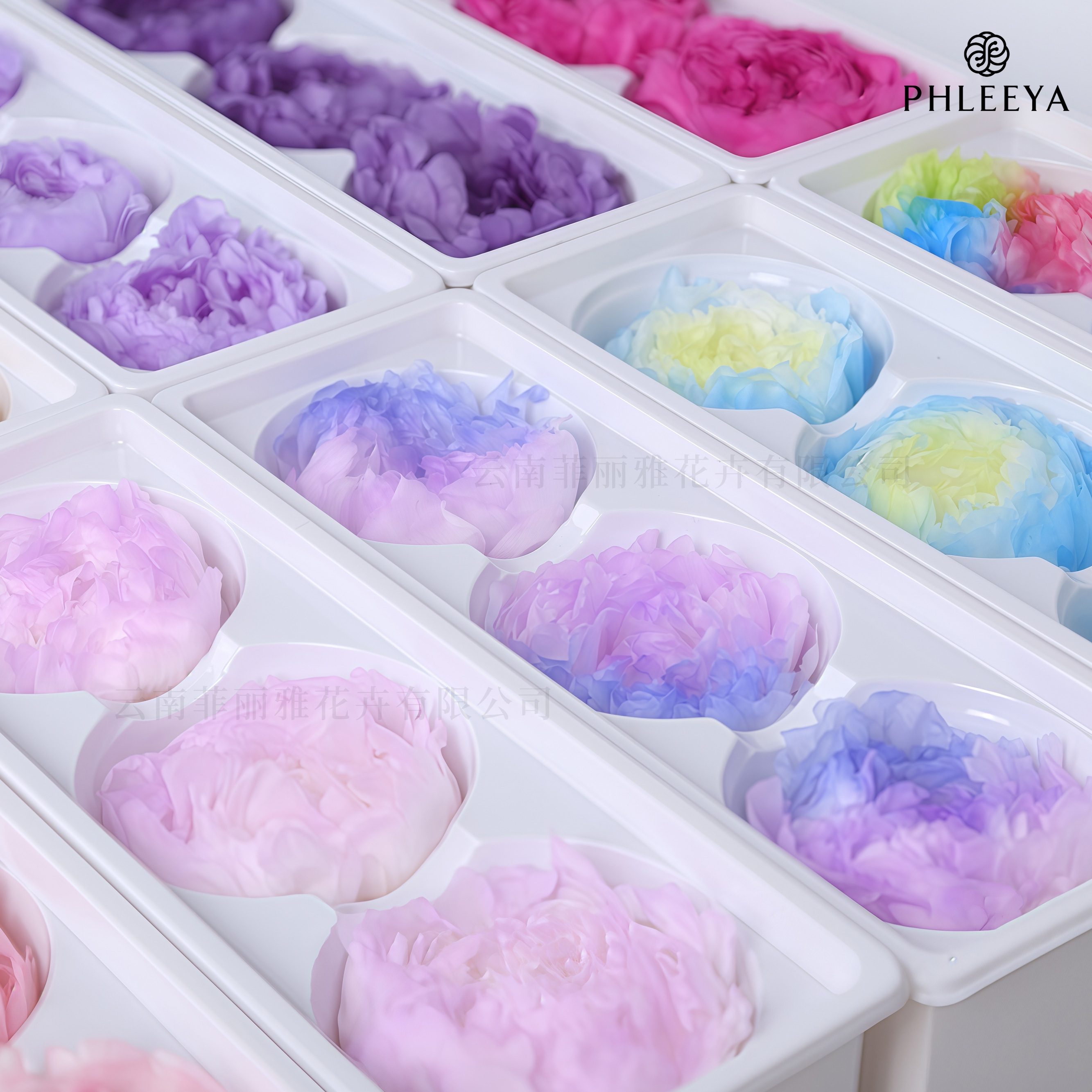 Top Flower Materials for Crafting Gorgeous Floral Arrangements